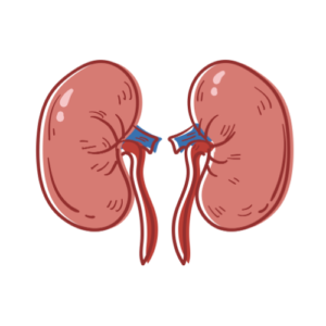 Home 15 Kidney Disease