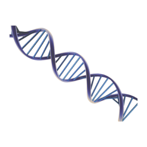 Home 13 Autoimmune Disease