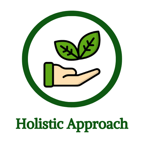 ayurveda treatment holistic approach