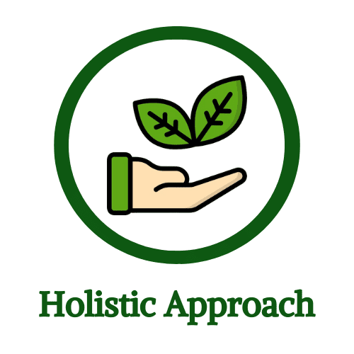 Home 12 ayurveda treatment holistic approach