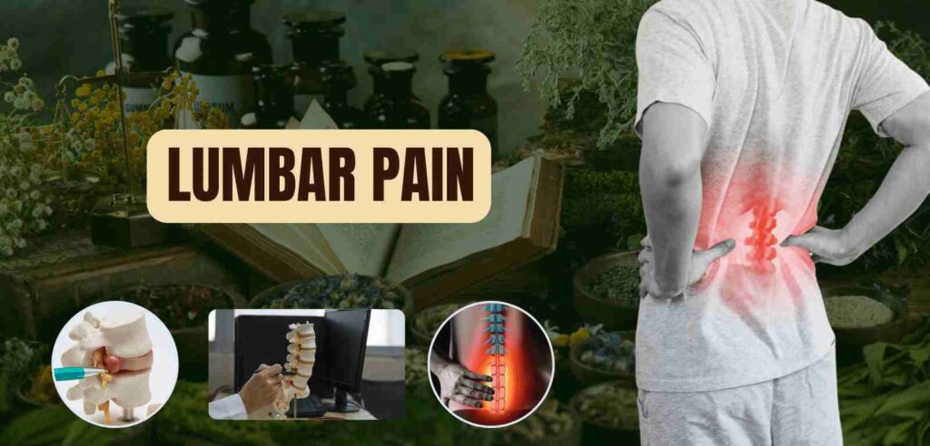 Lumbar Pain 1 Lumbar Pain