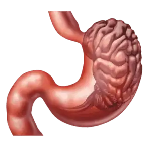 Home 7 gastro disease