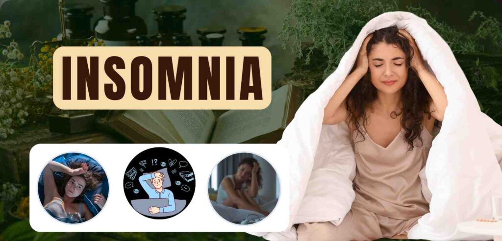 Insomnia 1 Insomnia