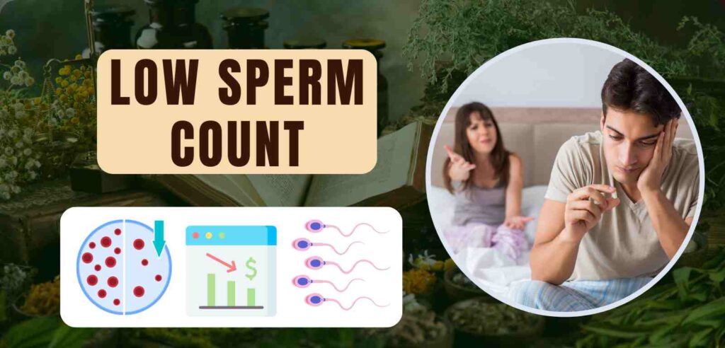 Low Sperm Count 1 low Sperm Count